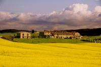 Borgo Beccanella - B&B Asciano