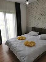 Appartamento con 1 Camera da Letto