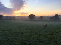 Large House On Farm With Own Heated Pool, As Seen On BBC TV - B&B Cullompton
