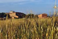 Agriturismo Podere Padolecchie - Azienda Agricola Passerini - Bed and Breakfast Torrita di Siena