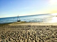 Superbe Villa 11 places à 400 m de la plage - Chambres d’hôtes Andernos-les-Bains