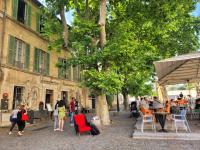 Un nid sur les toits face au palais des papes - B&B