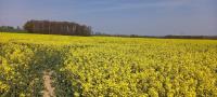 B&B Löbau - Ferienhof mit Bergblick - Bed and Breakfast Löbau