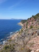 Studio avec parking privé - B&B Carqueiranne