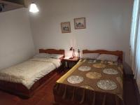 Deluxe Double Room (1 adult + 2 children)
