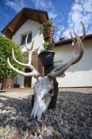 Willa Mysliwska - Chambres d’hôtes Krynica Morska