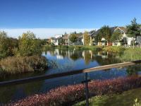 Hoopoe Cottage, Lower Mill Estate - B&B Somerford Keynes