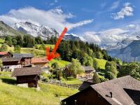 Chalet Viola - Ferienwohnung Wengen