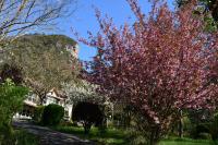 Gîte Domaine du Théron - Bed and Breakfast