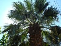 Apartment mit 1 Schlafzimmer und Balkon