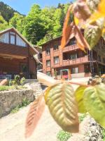 ŞEN BUTİK OTEL ve BUNGALOV - Ferienwohnung