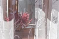 APARTAMENT PLAC KATEDRALNY - B&B Tarnów