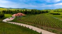 Pensiunea Sonnenhof - Bed and Breakfast