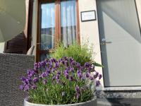 Apartment mit 3 Schlafzimmern