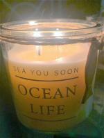 Ocean Life - B&B Plettenberg Bay