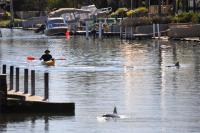 Sunsea Waterfront South Yunderup - B&B South Yunderup