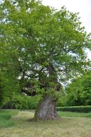 Gite Le Rouvre - B&B Cour-Cheverny