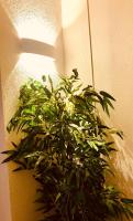 LOFT CON SPA PRIVATA - B&B