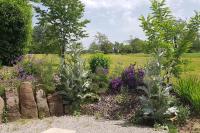 Les Vergers d'Epona "Fougerolles Haute-Saône" - Bed and Breakfast