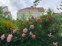 Magic of Avalon - Bed and Breakfast