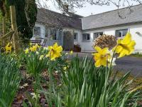 B&B Carmarthen - Dinefwr Cottage - Bed and Breakfast Carmarthen