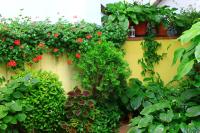 Hostal Escartín - B&B Sabiñánigo
