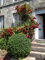 B&B Durbuy - Relax à Maison Sax Kingsize - Bed and Breakfast Durbuy