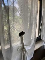 B&B Terre di Kalia - B&B