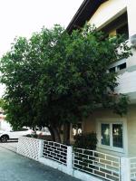 Apartman Smokva - B&B
