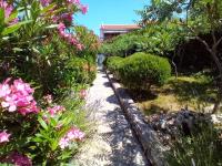 Apartman Rab Barbat 313 - B&B Barbat