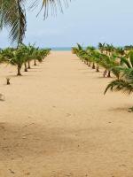 Chez Fèmi, route des pêches - B&B Cotonou