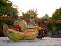 evasion guadeloupe - B&B