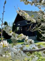 Wooden House - Imanje Terzic - Chambres d’hôtes Podgorica