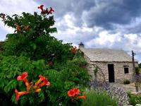 Country House Hacienda - Chambres d’hôtes Selca