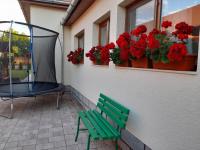 Casa Miki - Ferienwohnung Haţeg