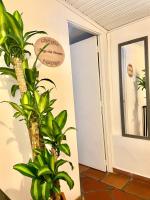 La Casa de las Plazas URBAN - B&B