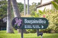 Beautiful 2 Bedroom Oceanview Condo at Maui Kamaole Located at South End of Kihei Adjacent to Wailea Traditional Hawaiian Style - B&B Wailea