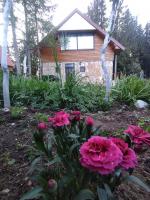 LARIX DURMITORES Apartments - B&B Žabljak