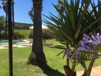 Suite Junior con terraza