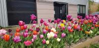 Noordersluis Studio's - B&B Lelystad