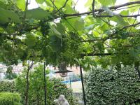 La Villa - Bed and Breakfast