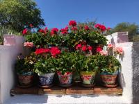 Casa La Alegria 37 - B&B Málaga