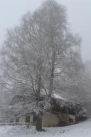 Appartement 3 Chambres