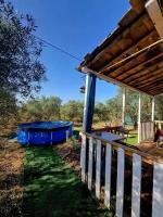 Un chalet dans les oliviers 3 nuits mini - B&B
