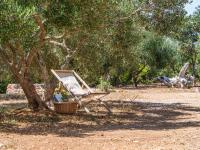 Hvar Cricket House Pakleni island - B&B
