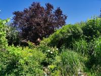 Nähe Spieleland - B&B Vogt