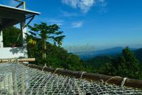 Dunarinka - Bed and Breakfast Minca