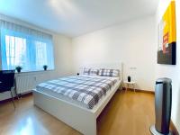 B&B Friedrichshafen - Auszeit Apartment SEEPERLE mit 4 Schlafzimmern, 600 m Luftlinie bis zum Bodenseeufer, in unmittelbarer Nähe des Bodenseeradwegs, schöne Sonnenterrasse, schnelles Internet, für bis zu 5 Personen - Bed and Breakfast Friedrichshafen