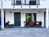 Estudio con cama extragrande y sofá cama