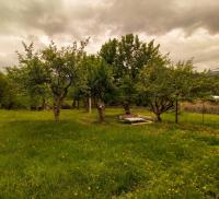 Iamze's Guest House - B&B Mestia